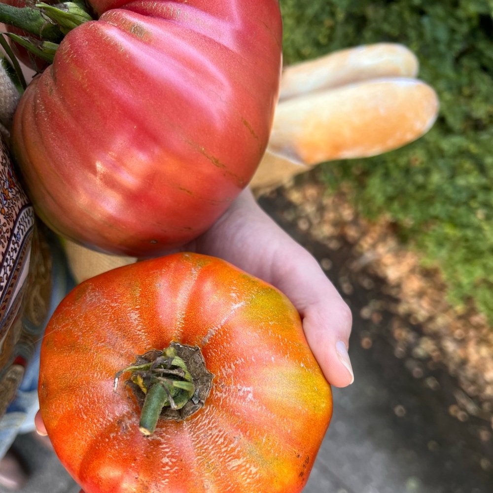 Meet your Posher, Audrey